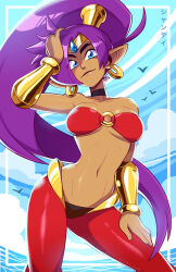 Rule 34 | 1girl, arm up, blue eyes, breasts, choker, closed mouth, dark-skinned female, dark skin, day, earrings, hand on own leg, highres, jewelry, large breasts, lips, long hair, looking at viewer, mike luckas, navel, outdoors, pointy ears, ponytail, purple hair, shantae, shantae (series), smile, solo, underboob, very long hair