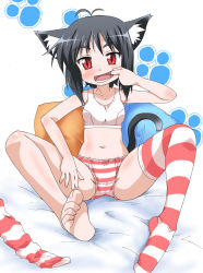 Rule 34 | 1girl, animal ears, barefoot, black hair, blush, bow, bow panties, bra, cat ears, cat tail, eyebrows, fang, feet, finger in own mouth, flat chest, lingerie, mukaibi aoi, navel, panties, red eyes, red panties, red thighhighs, short hair, single thighhigh, sitting, solo, sports bra, striped clothes, striped panties, striped thighhighs, tail, teeth, thighhighs, toes, underwear, underwear only, white bra