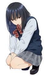Rule 34 | 1girl, between legs, black footwear, black hair, bow, collared shirt, dress shirt, eyebrows hidden by hair, full body, grey eyes, grey skirt, hair between eyes, hand between legs, loafers, long hair, long sleeves, looking at viewer, mattaku mousuke, mouth hold, original, plaid, plaid skirt, pleated skirt, red bow, school uniform, shirt, shoes, simple background, skirt, solo, squatting, sweater vest, twitter username, white background, white shirt
