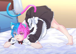 Rule 34 | 1boy, absurdres, animal ears, bedroom, cat ears, cat tail, crossdressing, eclapples, gloves, hair between eyes, highres, honestevolution, indie virtual youtuber, jack-o pose, maid, multicolored ears, multicolored eyes, multicolored hair, multicolored tail, paw pose, solo, solo focus, tail, thighhighs, top-down bottom-up, trap, twitch.tv, virtual youtuber