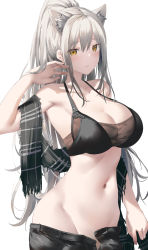 Rule 34 | 1girl, animal ear fluff, animal ears, arknights, arm up, armpits, bare arms, bare shoulders, black shorts, breasts, brown eyes, cat ears, cleavage, collarbone, crop top, extra ears, grey hair, groin, halterneck, halterneck, high ponytail, highres, large breasts, long hair, looking at viewer, midriff, navel, open fly, parted lips, ponytail, revealing clothes, scarf, schwarz (arknights), shorts, sidelocks, simple background, sleeveless, solo, stomach, strap gap, suzuame yatsumi, upper body, very long hair, white background