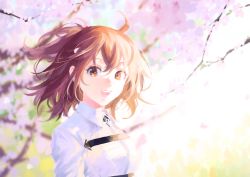 Rule 34 | 1girl, :d, brown eyes, brown hair, cherry blossoms, collared shirt, commentary request, day, fate/grand order, fate (series), floating hair, from side, fujimaru ritsuka (female), hair between eyes, highres, looking at viewer, medium hair, one side up, open mouth, outdoors, shirt, smile, solo, teeth, uni (nico02), upper body, upper teeth only