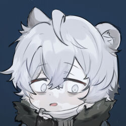 Rule 34 | 1boy, ahoge, animal ear fluff, animal ears, arknights, blue background, blue jacket, flot, fur-trimmed jacket, fur-trimmed sleeves, fur trim, grey eyes, grey hair, grey sweater, hair between eyes, hand up, jacket, jaye (arknights), long sleeves, male focus, mask, mask pull, mouth mask, open clothes, open jacket, pulling own clothes, simple background, sleeves past wrists, solo, surgical mask, sweater, upper body