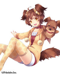 Rule 34 | 1girl, ahoge, angry, brown hair, collar, female focus, frills, hinariaoba, long sleeves, open mouth, original, short hair, shorts, simple background, solo, tail, thighhighs, twintails, white background, yellow eyes