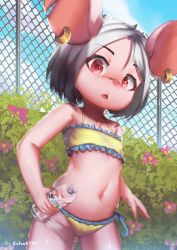 Rule 34 | 1girl, animal ears, artist name, bandaid, bandaid on face, bandaid on nose, bikini, bottle, bush, chain-link fence, cloud, earrings, echa4797, fence, flower, furry, furry female, grey hair, highres, holding, hoop earrings, jewelry, looking at viewer, mouse ears, mouse girl, mouse tail, navel, open mouth, original, outdoors, red eyes, short hair, side-tie bikini bottom, sky, solo, swimsuit, tail, thighs, water, water bottle, yellow bikini