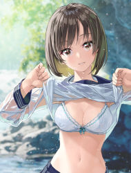 Rule 34 | 1girl, blurry, blurry background, bra, breasts, brown eyes, brown hair, cleavage, clothes lift, depth of field, head tilt, lifted by self, looking at viewer, medium breasts, medium hair, midriff, navel, original, outdoors, parted lips, school uniform, see-through, serafuku, shirt, shirt lift, smile, solo, underwear, wet, wet clothes, wet hair, wet shirt, white bra, yahako