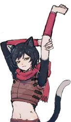 1girl animal_ears armor arms_up black_fur black_hair body_fur cat_ears cat_girl cat_tail diabolo_menthe5 dungeon_meshi izutsumi leather_armor leather_vest navel red_scarf scarf short_hair solo stretching tail white_background white_fur