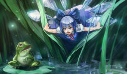 Rule 34 | 1girl, blue dress, blue eyes, blue hair, bow, carrot (carrotsgame), carrot (pixiv9407947), cirno, dress, fairy, frog, grass, hair bow, ice, ice wings, matching hair/eyes, mini person, minigirl, open mouth, puffy short sleeves, puffy sleeves, shirt, short sleeves, smile, solo, touhou, water, wings
