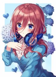 Rule 34 | 1girl, bad id, bad pixiv id, blue background, blue cardigan, blue eyes, blue flower, blush, breasts, brown hair, cardigan, collared shirt, commentary request, dress shirt, ecu8080, fingernails, flower, go-toubun no hanayome, hair between eyes, hand up, headphones, headphones around neck, heart, highres, hydrangea, long hair, long sleeves, looking at viewer, medium breasts, nakano miku, outside border, parted lips, purple flower, shirt, solo, two-tone background, upper body, white background, white shirt