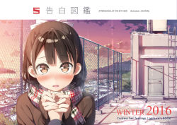 Rule 34 | 1girl, 2016, blush, brown eyes, brown hair, building, chain-link fence, city, cloud, door, fence, holding hands, highres, kantoku, ladder, looking at viewer, nose blush, open mouth, original, out of frame, plaid, plaid scarf, pov, pov hands, rooftop, scarf, sky, snow, solo focus, sunset, tears, winter