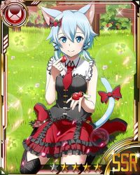 Rule 34 | 10s, 1girl, animal ears, black ribbon, black shirt, black thighhighs, blue eyes, blue hair, bow, card (medium), cat ears, cat tail, day, food, frilled skirt, frills, fruit, gothic lolita, grass, hair between eyes, hair bow, hair ribbon, holding, holding food, holding fruit, kneeling, layered skirt, lolita fashion, looking at viewer, matching hair/eyes, necktie, outdoors, red bow, red footwear, red necktie, red skirt, ribbon, shirt, shoes, short hair with long locks, short necktie, sidelocks, sinon, sinon (sao-alo), skirt, smile, solo, star (symbol), sword art online, tail, tail bow, tail ornament, thighhighs