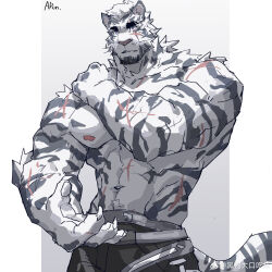 Rule 34 | 1boy, abs, absurdres, animal ears, arknights, bara, blue eyes, cowboy shot, facial hair, furry, furry male, goatee, hand on own shoulder, highres, large hands, large pectorals, looking ahead, male focus, mountain (arknights), muscular, muscular male, navel, navel hair, nipples, open hand, pectorals, run (arun six), scar, scar across eye, scar on arm, short hair, solo, stomach, tail, thick eyebrows, tiger boy, tiger ears, tiger tail, white fur, white hair