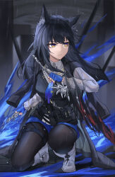 Rule 34 | 1girl, animal ears, arknights, black hair, black jacket, black pantyhose, blue gloves, blue shorts, boots, closed mouth, dual wielding, fingerless gloves, fox ears, frown, gloves, grey footwear, grey shirt, highres, holding, holding weapon, jacket, long hair, long sleeves, on one knee, outdoors, pantyhose, pantyhose under shorts, rain, shirt, shizukugu03, short shorts, shorts, slit pupils, solo, sword, texas (arknights), weapon, wet, wet clothes, wet shirt, yellow eyes