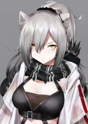 Rule 34 | 1girl, animal ear fluff, animal ears, arknights, arrow (projectile), bandeau, black hair, breasts, cat ears, closed mouth, crop top, ear piercing, gradient hair, grey background, grey hair, hair between eyes, hair ornament, hair scrunchie, highres, jacket, long hair, looking at viewer, medium breasts, multicolored hair, open clothes, open jacket, piercing, ponytail, quiver, scarf, schwarz (arknights), scrunchie, see-through, simple background, sleeveless, solo, two-tone hair, upper body, v-shaped eyebrows, wakamepiza, white jacket, yellow eyes