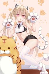Rule 34 | 1girl, :o, animal ear fluff, animal ears, animal hands, black bow, black bowtie, black shorts, blonde hair, blush, bow, bowtie, child, chucolala, claw pose, crop top, extra ears, fang, full body, gloves, hair between eyes, hair over shoulder, heart, heart background, highres, jawr8473, kneeling, long hair, looking at viewer, navel, paw gloves, paw print, paw print background, paw shoes, red eyes, short shorts, shorts, simple background, skin fang, solo, suzumiya rin, tail, tail raised, thighhighs, tiger ears, tiger tail, twintails, very long hair, virtual youtuber, white footwear, white gloves, white thighhighs