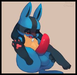 Rule 34 | 1boy, animal ears, animal hands, artist name, beige background, black border, blush, border, creatures (company), erection, feet, furry, furry male, game freak, gen 4 pokemon, half-closed eye, honey calamari, looking down, lucario, lying, male focus, nintendo, nude, on back, one eye closed, open mouth, penis, pokemon, pokemon (creature), pokemon dppt, red eyes, signature, simple background, solo, spread legs, tail, testicles, text focus, uncensored, wolf ears