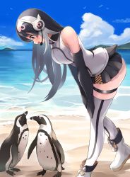 Rule 34 | 1girl, absurdres, african penguin (kemono friends), animal ears, black eyes, black gloves, black hair, gloves, highres, kemono friends, kemono friends v project, long hair, looking at viewer, mappuri, multicolored hair, necktie, shirt, shoes, simple background, skirt, smile, solo, tail, virtual youtuber, white shirt