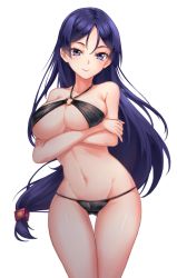 Rule 34 | 1girl, bikini, black bikini, blue eyes, blue hair, breasts, closed mouth, crossed arms, fate/grand order, fate (series), highres, large breasts, leikangmin, long hair, looking at viewer, minamoto no raikou (fate), navel, o-ring, o-ring bikini, o-ring top, simple background, smile, solo, standing, swimsuit, transparent background, white background