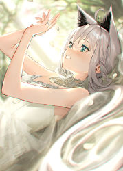 Rule 34 | ahoge, animal ears, arms up, bare shoulders, blurry, blurry background, braid, commentary request, detached collar, dress, fox ears, fox girl, green eyes, hair between eyes, hololive, jewelry, long hair, looking at hands, lying, on back, petals, ring, shirakami fubuki, sidelocks, single braid, sleeveless, sleeveless dress, solo, strapless, strapless dress, takubon, virtual youtuber, white dress, white hair