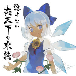 Rule 34 | 1girl, blue bow, blue dress, blue eyes, blue hair, bow, cirno, commentary request, dated, dress, flower, hair bow, hidden star in four seasons, ice, ice wings, looking at viewer, morning glory, pink flower, puffy short sleeves, puffy sleeves, shihou (g-o-s), short hair, short sleeves, signature, simple background, smile, solo, sunflower, tan, tanned cirno, touhou, translation request, upper body, white background, wings