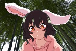 Rule 34 | 1girl, :3, animal ears, bamboo, bamboo forest, black hair, blush, commentary request, dress, forest, from below, hair between eyes, highres, inaba tewi, looking at viewer, mana (tsurubeji), nature, outdoors, photo background, pink dress, portrait, puffy short sleeves, puffy sleeves, rabbit ears, red eyes, short hair, short sleeves, smile, solo, touhou