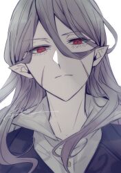Rule 34 | 1boy, absurdres, black vest, bram stoker (bungou stray dogs), bungou stray dogs, closed mouth, collared shirt, facial scar, grey hair, highres, long hair, looking at viewer, male focus, pale skin, portrait, r1kuuw, red eyes, scar, scar on cheek, scar on face, shirt, simple background, slit pupils, solo, vest, white background, white shirt