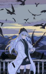 Rule 34 | 1girl, absurdres, bird, black thighhighs, coat, cogecha, crow, hat, highres, long hair, looking at viewer, mountain, original, outdoors, silver hair, smile, thighhighs, winter clothes, yellow eyes