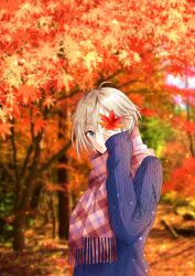 Rule 34 | 1girl, :o, absurdres, anastasia (idolmaster), blurry, blurry background, grey hair, highres, holding, holding leaf, idolmaster, idolmaster cinderella girls, leaf, long sleeves, looking at viewer, looking to the side, maple leaf, maple tree, outdoors, plaid, plaid scarf, popon ta, purple sweater, red scarf, scarf, solo, sweater, tree, upper body