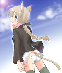 Rule 34 | 00s, 1girl, animal ears, blue eyes, braid, brown hair, lynette bishop, panties, single braid, solo, strike witches, tail, thighhighs, underwear, world witches series