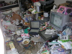 Rule 34 | chair, computer, drawing tablet, figure, food, indoors, keyboard (computer), laptop, merchandise, messy, otaku room, photo (medium), trash, unspeakable filth, what