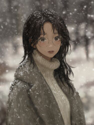 Rule 34 | 1girl, absurdres, black hair, blurry, blurry background, brown eyes, coat, commentary, earrings, freckles, glass, grey coat, highres, jewelry, long hair, looking at viewer, makeup, mascara, messy hair, original, outdoors, parted lips, red lips, ribbed sweater, snow, snow on head, snowing, solo, sweater, turtleneck, turtleneck sweater, upper body, wang-xi, white sweater, winter clothes