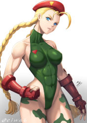 Rule 34 | 1girl, abs, ahoge, antenna hair, bare shoulders, beret, blonde hair, blue eyes, braid, breasts, cammy white, camouflage, covered collarbone, covered navel, curvy, eiwa, fingerless gloves, gloves, green leotard, groin, hat, heattech leotard, highleg, highleg leotard, leotard, lips, long hair, medium breasts, muscular, muscular female, red gloves, red hat, scar, signature, solo, street fighter, street fighter ii (series), thighs, thong leotard, turtleneck, twin braids, twitter username, very long hair, white background, wide hips