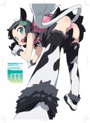 Rule 34 | animal ears, ass, cow ears, kanzaki hiro, panties, simple background, solo, tail, thighhighs, underwear, white background
