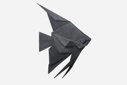 Rule 34 | angelfish, animal focus, commentary, english commentary, fish, from side, highres, monochrome, origami (medium), original, simple background, tu kaiming, white background