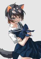 Rule 34 | 1girl, absurdres, animal ears, black eyes, black hair, blue bow, blue bowtie, bow, bowtie, commentary, crossed arms, extra ears, fang, grey background, grin, highres, kemono friends, looking at viewer, plaid, plaid bow, plaid bowtie, sailor collar, short hair, shorts, simple background, smile, smug, solo, tail, tanabe (fueisei), tasmanian devil (kemono friends), teeth