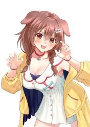 Rule 34 | 1girl, animal collar, animal ears, blush, bone hair ornament, bracelet, braid, breasts, brown eyes, brown hair, claw pose, collar, commentary, dog ears, dress, fangs, hair between eyes, hair ornament, hairclip, highres, hololive, inugami korone, inugami korone (1st costume), jacket, jewelry, kotone neruneru, large breasts, long hair, looking at viewer, low twin braids, low twintails, off shoulder, open clothes, open jacket, open mouth, red collar, short dress, simple background, sleeveless, sleeveless dress, solo, twin braids, twintails, v-shaped eyebrows, virtual youtuber, w arms, white background, white dress, yellow jacket