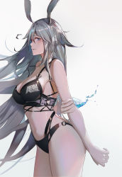 Rule 34 | 1girl, absurdres, animal ears, arknights, bare arms, bare shoulders, bikini, black bikini, breasts, chinese commentary, cleavage, commentary request, cowboy shot, grey background, grey eyes, grey hair, hair between eyes, highres, large breasts, long hair, looking at viewer, navel, nayuko (wuyou nayuko), rabbit ears, rim billiton logo, savage (arknights), simple background, solo, standing, stomach, swimsuit, thighs, very long hair