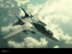 Rule 34 | ace combat, ace combat 5, aircraft, airplane, blaze (character), drop tank, f-14, jet, missile, official art