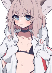 Rule 34 | 1girl, absurdres, animal ear fluff, animal ears, arknights, bikini, bikini under clothes, black bikini, black choker, blue eyes, blush, breasts, brown hair, choker, closed mouth, collarbone, commentary request, fox ears, gloves, hair between eyes, hands up, highres, jacket, long sleeves, looking at viewer, navel, open clothes, open jacket, saizukiconoha, simple background, small breasts, solo, sussurro (arknights), swimsuit, upper body, white background, white gloves, white jacket, wide sleeves