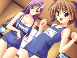 Rule 34 | 2girls, angry, blush, breasts, brown hair, cleavage, clenched hand, clenched hands, dutch angle, flat chest, game cg, green eyes, hair ribbon, large breasts, long hair, multiple girls, name tag, ne~pon? x rai pon!, one-piece swimsuit, open mouth, purple eyes, purple hair, reishi (ne~pon? x rai pon!), ribbon, ringo (ne~pon? x rai pon!), school swimsuit, short hair, suzuhira hiro, sweatdrop, swimsuit