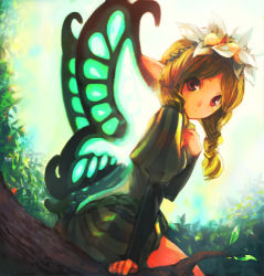 Rule 34 | 1girl, blonde hair, braid, butterfly wings, insect wings, lowres, mercedes (odin sphere), odin sphere, over shoulder, pointy ears, puff and slash sleeves, puffy shorts, puffy sleeves, red eyes, shorts, solo, star (ikaruga), twin braids, wings