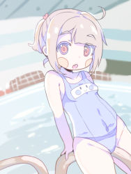 Rule 34 | 1girl, blush, blush stickers, chara (undertale), cowboy shot, fang, female focus, looking at viewer, open mouth, pool, renoa yu, school swimsuit, solo, swimsuit, undertale