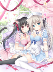 Rule 34 | 2girls, :o, :p, animal ears, apron, armband, black bow, black hair, black legwear, blue dress, blue eyes, blush, bow, breasts, cat ears, cat tail, closed mouth, commentary request, dog ears, dress, flower, frilled apron, frilled dress, frills, hair between eyes, hair bow, hat, highres, korie riko, light brown hair, long hair, medium breasts, multiple girls, nurse cap, original, parted lips, petals, pink dress, puffy short sleeves, puffy sleeves, red eyes, short sleeves, sitting, smile, striped clothes, striped dress, tail, thighhighs, tongue, tongue out, twintails, vertical-striped clothes, vertical-striped dress, very long hair, wariza, white apron, white flower, white headwear, white legwear, wrist cuffs