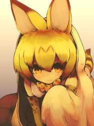 Rule 34 | 10s, 1girl, all fours, animal ears, bow, bowtie, breasts, closed mouth, commentary request, cushion, dot nose, elbow gloves, gloves, gradient background, hair between eyes, hand up, high-waist skirt, highres, kemono friends, large breasts, light smile, looking at viewer, miniskirt, multicolored hair, muted color, orange background, orange bow, orange bowtie, orange eyes, orange gloves, orange hair, orange skirt, parted bangs, paw pose, print bow, print bowtie, print gloves, print neckwear, serval (kemono friends), serval print, serval tail, shirt, short hair, simple background, skirt, sleeveless, sleeveless shirt, solo, split mouth, suginakara (user ehfp8355, tail, two-tone hair, under covers, white shirt
