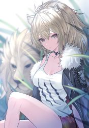 Rule 34 | 1girl, ahoge, animal ears, arknights, bare legs, black choker, black jacket, blonde hair, breasts, brown eyes, choker, cleavage, commentary, fur-trimmed jacket, fur trim, grass, hair between eyes, highres, jacket, jacket on shoulders, large breasts, lion, lion ears, long hair, looking at viewer, off shoulder, open clothes, open jacket, open mouth, ponytail, red shorts, seia (tikxxx), short shorts, shorts, siege (arknights), sitting, solo, studded choker, tank top, tongue, tongue out, white tank top