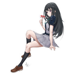 Rule 34 | 1girl, absurdres, arm support, black hair, black socks, brown footwear, crossed arms, flower, grey skirt, highres, holding, holding flower, inoue takina, legs, loafers, long hair, lycoris recoil, mian li, purple eyes, red flower, shoes, short sleeves, signature, simple background, sitting, skirt, socks, spider lily, straight hair, white background