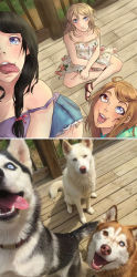 Rule 34 | dog, heterochromia, highres, photo inset, reference inset, tagme