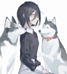 Rule 34 | 1girl, 2dogs, @ @, absurdres, anataa, animal, black hair, black shirt, chainsaw man, dog, hair between eyes, highres, husky, looking at viewer, nayuta (chainsaw man), shirt, short hair, simple background, sitting, skirt, solo, upper body, white background, white skirt, yellow eyes