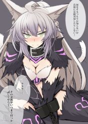 Rule 34 | 1girl, agrius metamorphosis, ahoge, animal ear fluff, animal ears, atalanta (fate), atalanta alter (fate), black thighhighs, blush, braid, breasts, cat ears, chain, chained, collar, commentary request, fate/grand order, fate (series), fur, green eyes, grey background, hair between eyes, kneeling, long hair, looking at viewer, medium breasts, multicolored hair, nahu, silver hair, solo, tail, thighhighs, translation request, very long hair
