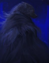 Rule 34 | 1boy, absurdres, animal head, blaidd the half-wolf, blue background, blue theme, cloak, elden ring, from side, fur cloak, furry, furry male, highres, male focus, poreyneel, profile, red eyes, solo